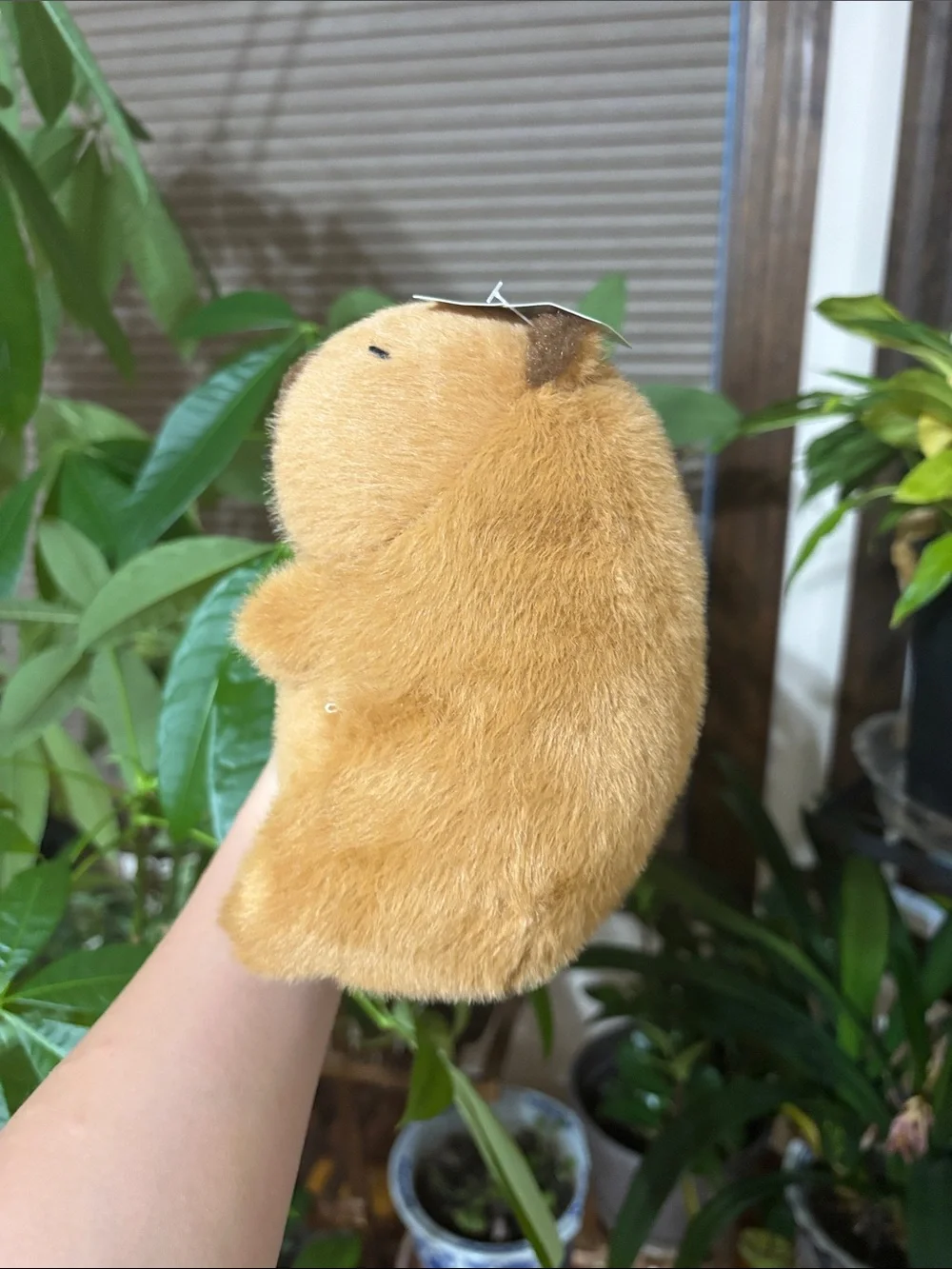 Plush Small Pet Toy - Soft Brown Plush Squirrel